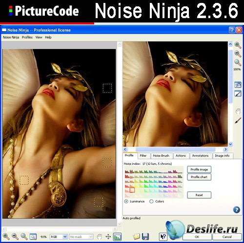 Плагин для Photoshop - PictureCode Noise Ninja 2.3.6 (x64) / 2.3.5 (x86)