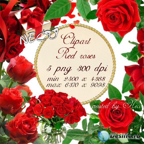Clipart red roses 2 - Клипарт красные розы 2 PNG