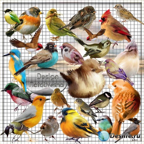 Клипарт в PNG – Разноцветные  птички …