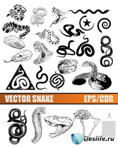 Vector Snakes, Cobra /  , 