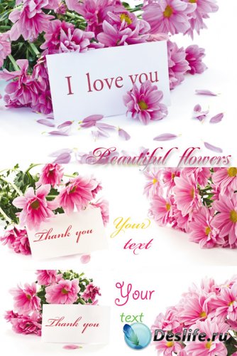 Цветы с карточками для текста, букеты цветов - растровый клипарт