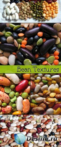   / Textures Bean