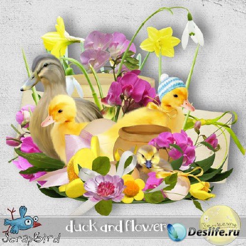    - Duck and Flower