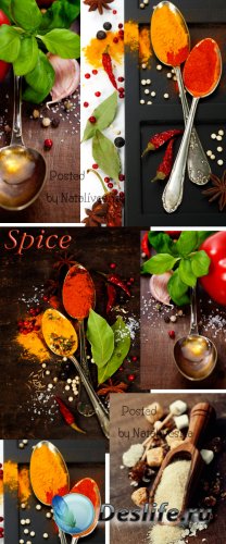       / Culinary backgrounds with greens and spices