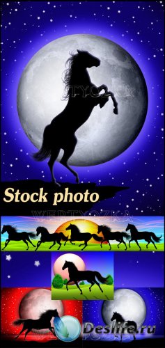        / Horses on the background of the moon a ...