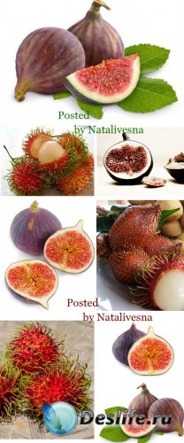    / Fig and Rambutan - Stock photo