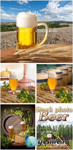,   ,  / Beer, a glass of beer, hops - Raster clipart