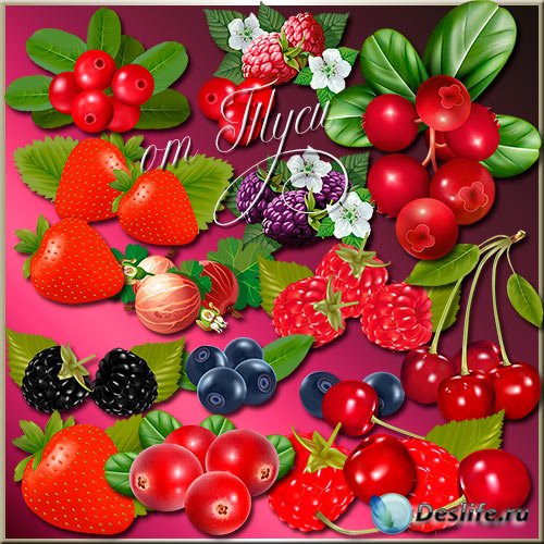 Клипарт - Вкусные ягоды