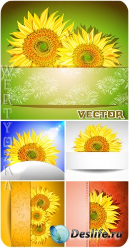       / Sunflowers - vector clipart