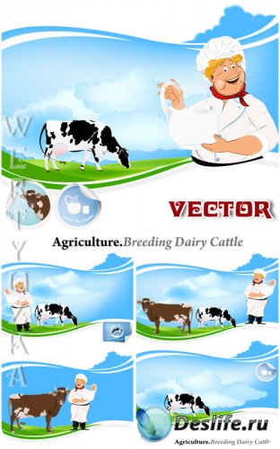 ,   / Breeding dairy cattle - vector clipar ...