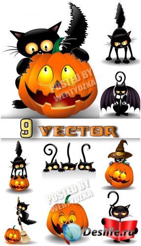       / Black cat and pumpkin on Halloween - stock vector