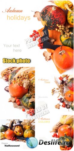   / Celebration of Autumn - stock photos