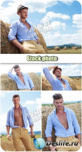    / Man in a the field - stock photos