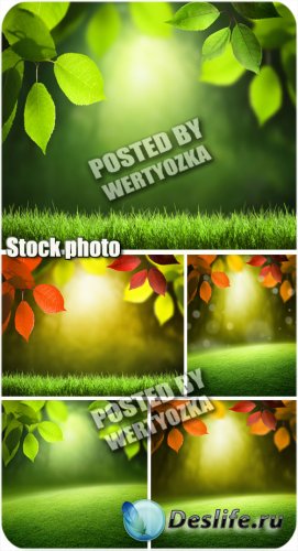      / Backgrounds with leaves and grass - stock photos
