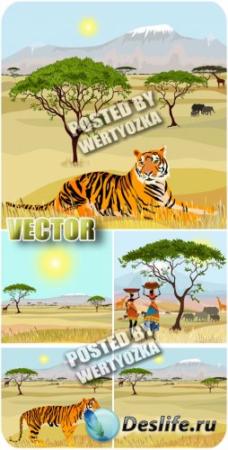 ,    / Africa , backgrounds with tiger - stock photos