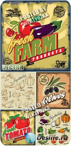   ,  / Label with vegetables, vintage - stock vector