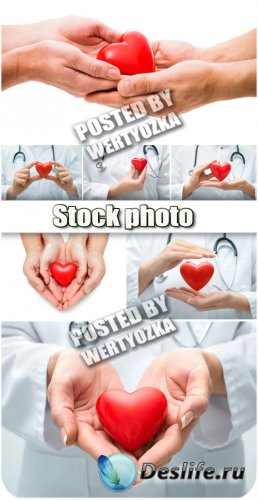    / Heart in hands - stock photo