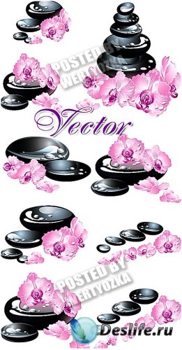     / Spa stones and orchid - stock vector