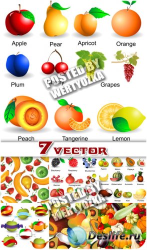   ,  / Fruits and vegetables backgrounds - stock vector