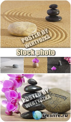       / Spa background with orchids and stones - stock photos