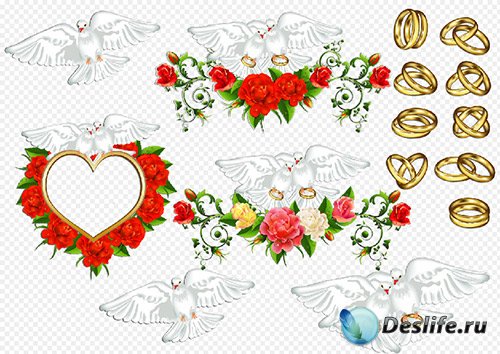 Клипарт- Свадебные голуби с обручальными кольцами рамка из роз в виде сердц ...