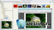 FastStone Image Viewer 5.0 RePack & Portable by KpoJIuK