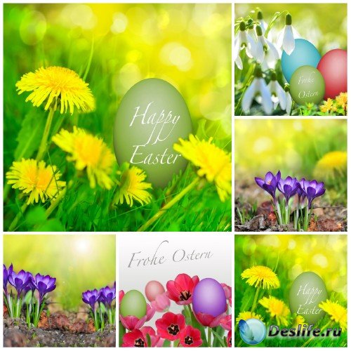 ,     / Easter, spring background with flowers - S ...