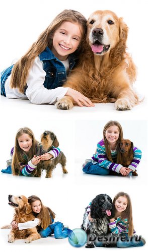     / Girl with pedigreed dogs - Stock photo