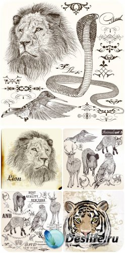 Животные, декоративные элементы в векторе / Animals, decorative elements ve ...