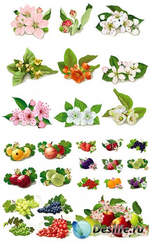  ,      / Spring flowers, fruits and berries vector