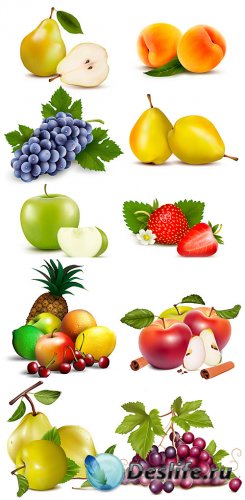      , , , , ,  / Fresh fruits and berries vector