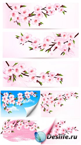     ,   / Spring pink flowers