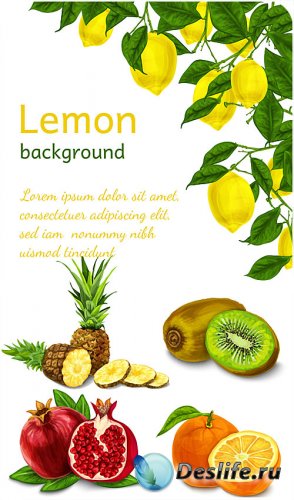 , ,      / Lemon, kiwi, pomegranate and pineapple vector