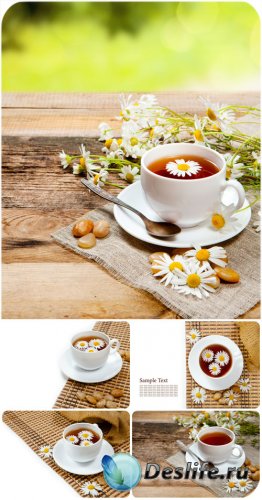    / Chamomile tea - Stock Photo
