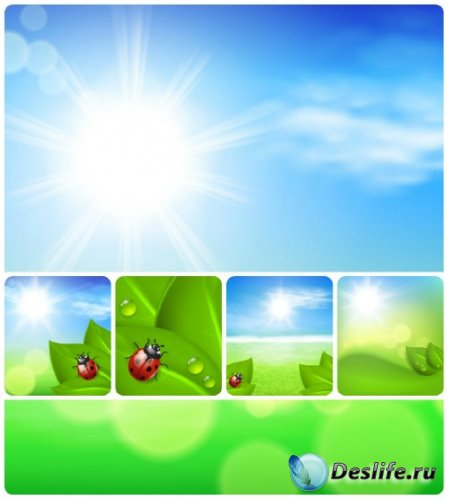      / Natural vector background with ladybirds