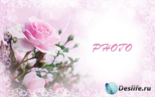 Рамка для фотографии - Розовые розы для тебя