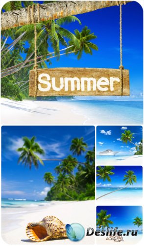 , ,  / Summer, sea, palm trees - Stock Photo