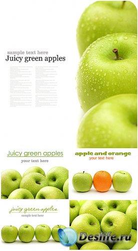 Свежие яблоки / Fresh apples - Stock photo