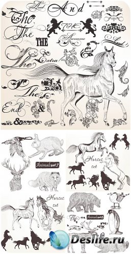 Animals and design elements vector