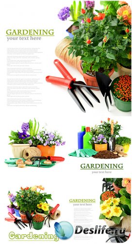    / Gardening and Floriculture - stock photos