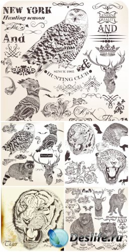 Животные в векторе, декоративные элементы / Animals vector , decorative ele ...