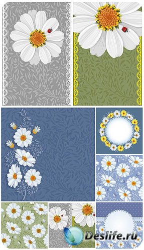 ,    / Chamomile , vector floral backgrounds
