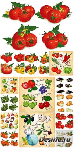 Овощи, фрукты и ягоды в векторе / Vegetables, fruits and berries vector