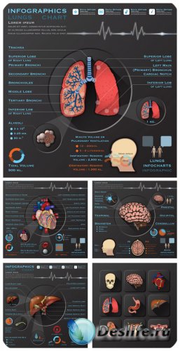,    / Medicine, infographics vector