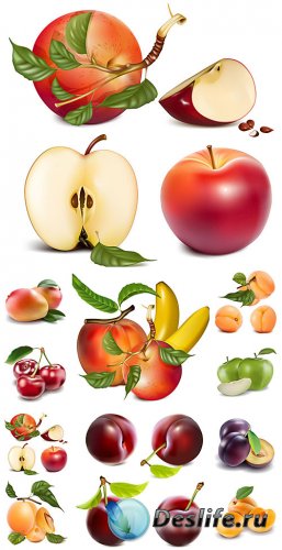     , , ,  / Fruits and berries vector, ...