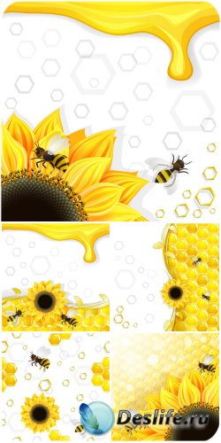 ,      / Honey, bees and sunflowers vector