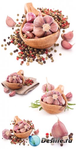 ,  / Garlic and spices - Stock Photo