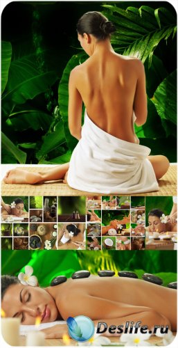 Spa ,    ,   / Spa treatments, spa body care, spa massage - Stock photo