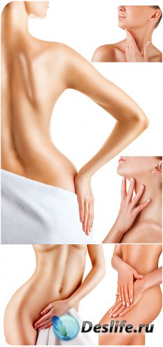  ,    / Female body, body care - Stock photo