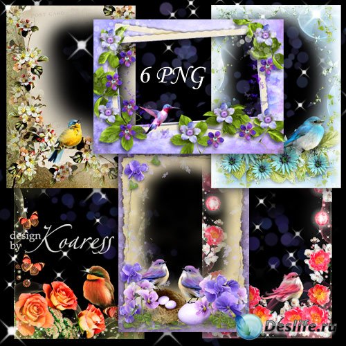 Набор романтических png рамок для фото с птичками и цветами - Птичье пение  ...
